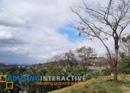 lot for sale in town & country hills, antipolo