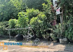 lot for sale in bacolod city, negros occidental