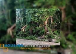 lot for sale in bacolod city, negros occidental