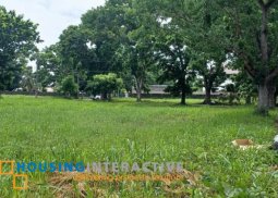 lot for sale in manville royale village ii, bacolod city, negros occidental