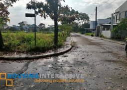 lot for sale in manville royale village ii, bacolod city, negros occidental
