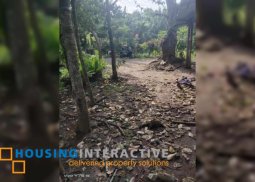 farm lot for sale in bacolod city, negros occidental