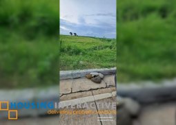 lot for sale in bacolod city, negros occ.