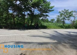 farm lot for sale in bacolod city, negros occidental