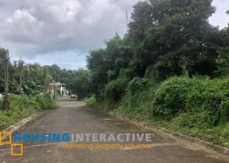 lot for sale in ponderosa subd, brgy san roque, antipolo city