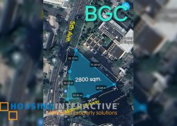 lot for sale in bgc
