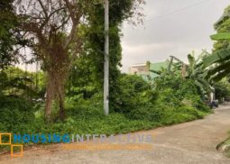 vacant lot for sale in hilltown executive village