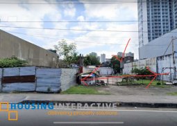 for sale: commercial lot in pasay