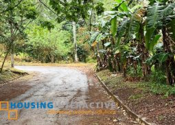 vacant lot for sale in victoria valley, antipolo city