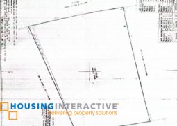 lot for sale in ayala alabang village