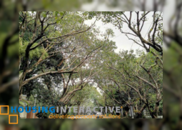 for sale: 2 storey house in dasmarinas village