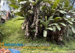 lot for sale in sun valley golf and residential estate, antipolo