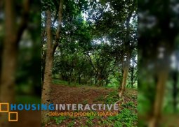 lot for sale in antipolo city