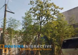 lot for sale in richgate subdivision, antipolo city