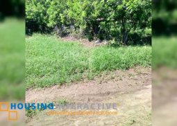 lot for sale in woodstuck subdivision, tangub, bacolod city