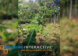 lot for sale in minoyan, murcia, bacolod city