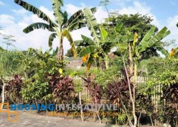 lot for sale in olympia village, alijis, bacolod city