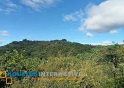 lot for sale in antipolo city