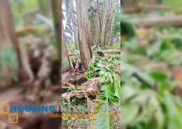 lot for sale in antipolo city