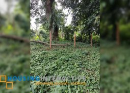 lot for sale in antipolo city