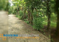 lot for sale in alfonso, cavite