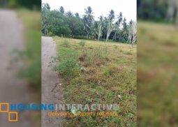 lot for sale in dumaguete city