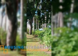 beach lot for sale in dumaguete city