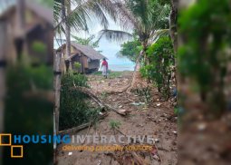 beach lot for sale in dumaguete city