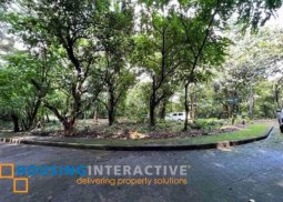lot for sale in town and country estates, antipolo city