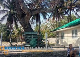 lot for sale in amlan, dumaguete city