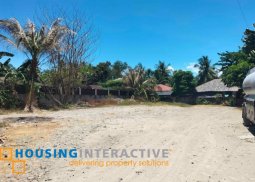 lot for sale in amlan, dumaguete city