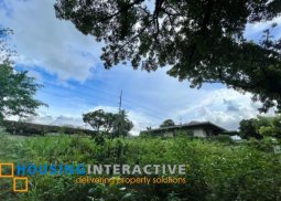 lot for sale in bel-air 4, makati