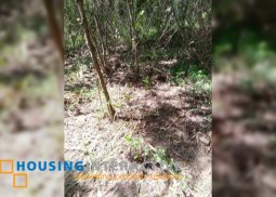 lot for sale in negros oriental