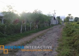 house and lot for sale in dumaguete city