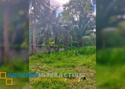 lot for sale in talay, dimaguete city