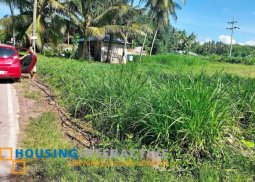 lot for sale in dumaguete city