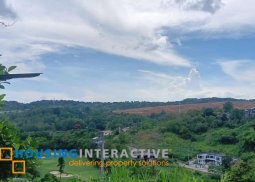 lot for sale in sun valley estates, antipolo