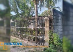 house and lot for sale in dumaguete city