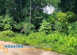 lot for sale in dumaguete city