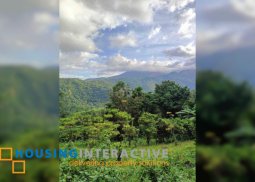 lot for sale in valencia, negros oriental