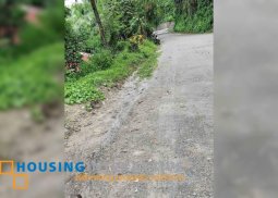 lot for slae in valencia, dumaguete city