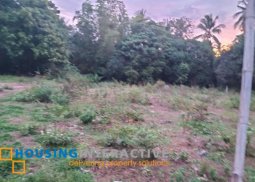 lot for sale in dauin, dumaguete city