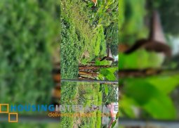 lot for sale in motong, dumaguete city