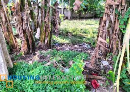 lot for sale in bacong, dumaguete city