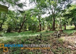 farm lot for sale in tanay, rizal