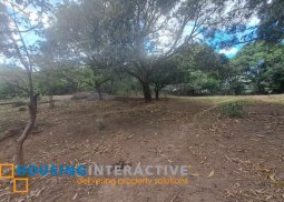 farm lot with creek in antipolo city