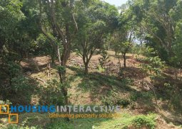 lot for sale in samploc-infanta