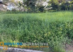 lot for sale in parkhills executive village, antipolo