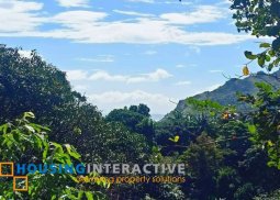 lot for sale in antipolo tanay rizal