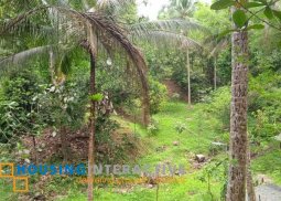 lot for sale in antipolo baras rizal